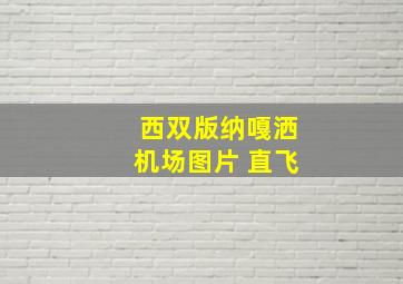 西双版纳嘎洒机场图片 直飞